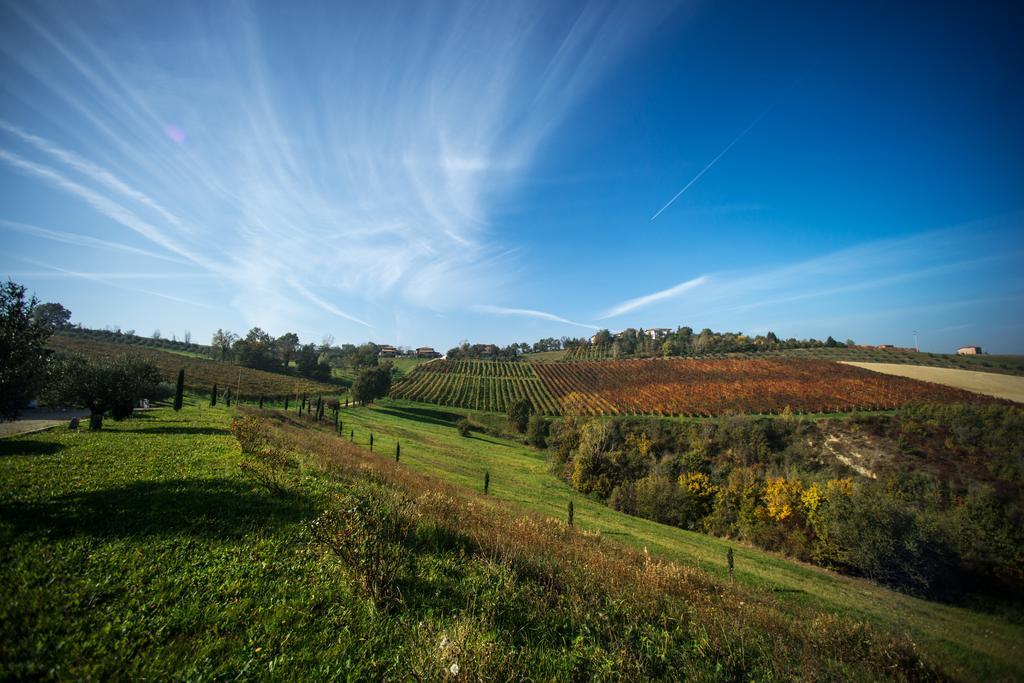 Agriturismo Acetaia Sereni Marano sul Panaro ภายนอก รูปภาพ
