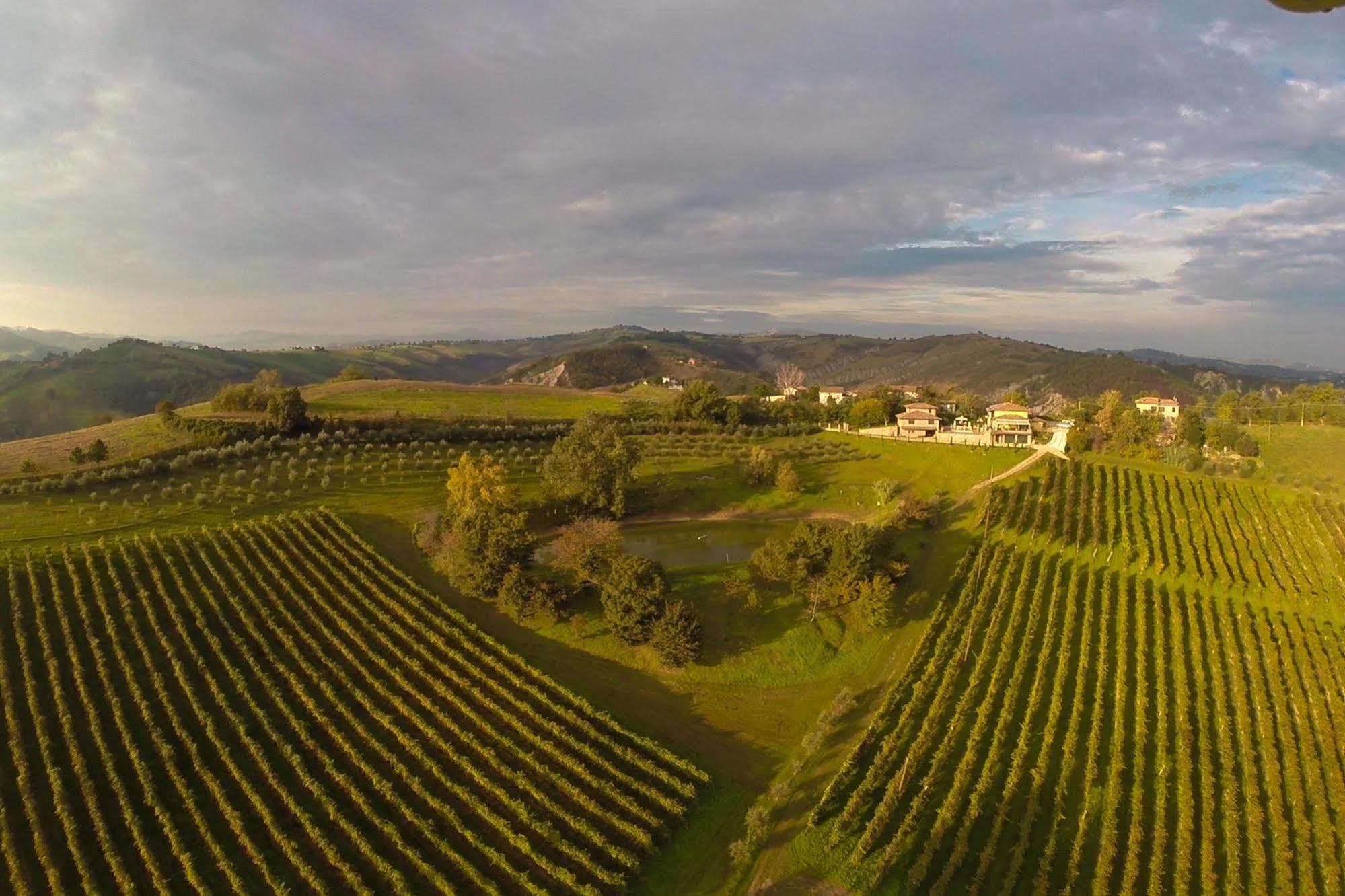 Agriturismo Acetaia Sereni Marano sul Panaro ภายนอก รูปภาพ
